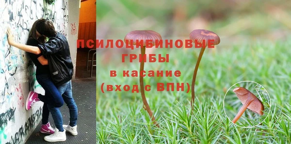 метадон Алексин