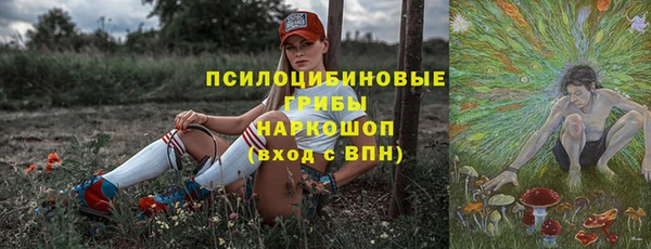 метадон Алексин