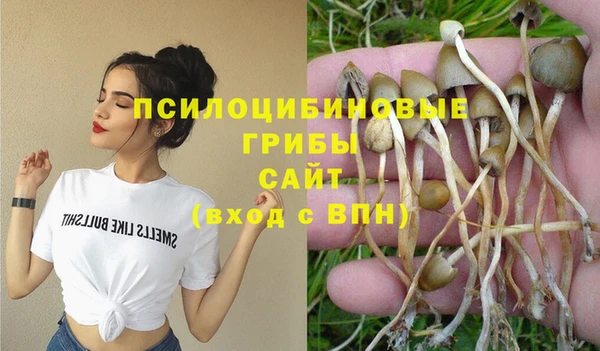 метадон Алексин