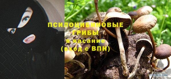 каннабис Алзамай