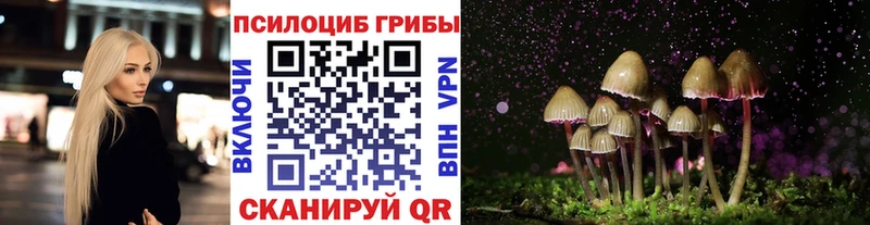 Галлюциногенные грибы Psilocybine cubensis  где найти   Новомичуринск 